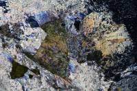 Métagabbro à glaucophane LPA x3,5